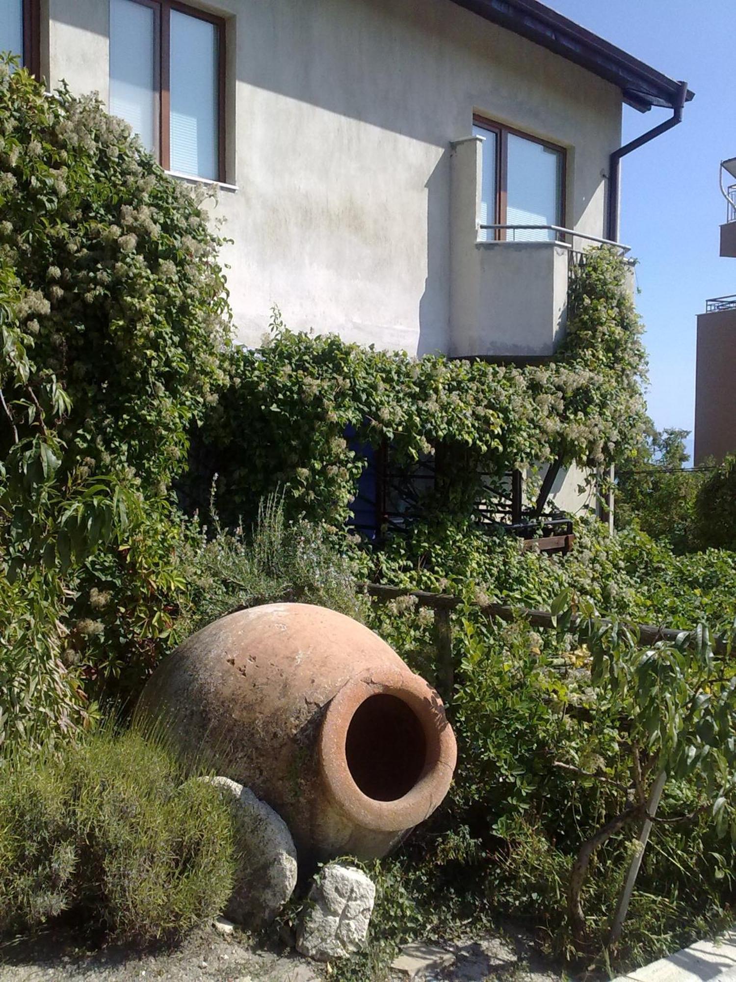 Villa Elfi ゴールデンサンド エクステリア 写真